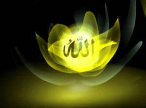 le proph�te (SAW) dit