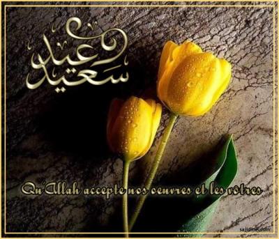 TROPS VRAIS !!!!!!!!!!!