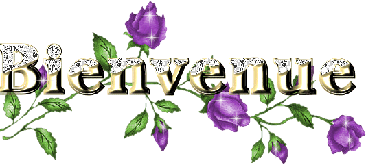 bienvenue  sur  mon  blog  bonjour a tous je vous souhaite la bienvenue chez  moi